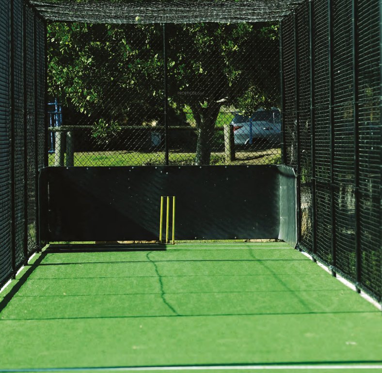  the nation Cricket Pitch