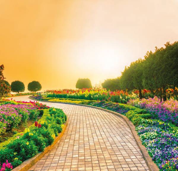  the-nation Internal Roads