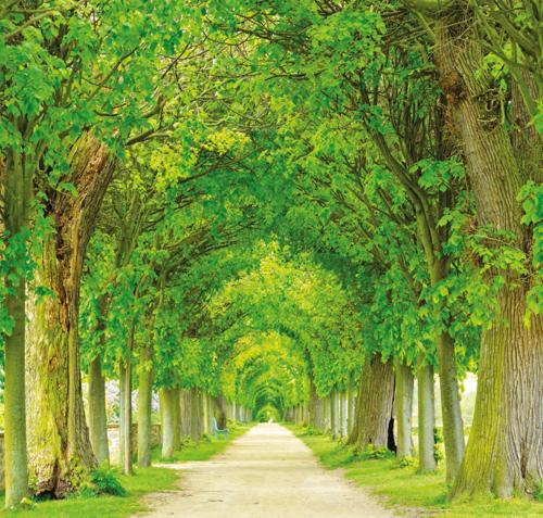  the-nation Landscaped Gardens