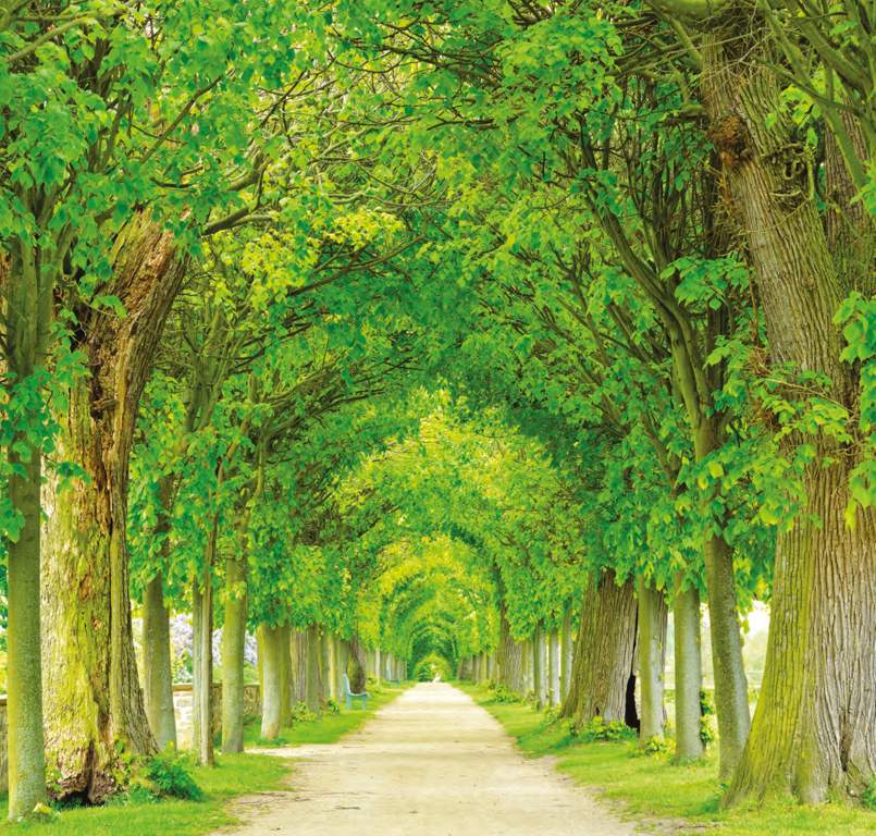  the nation Landscaped Gardens