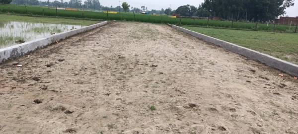 Elevation city Elevation