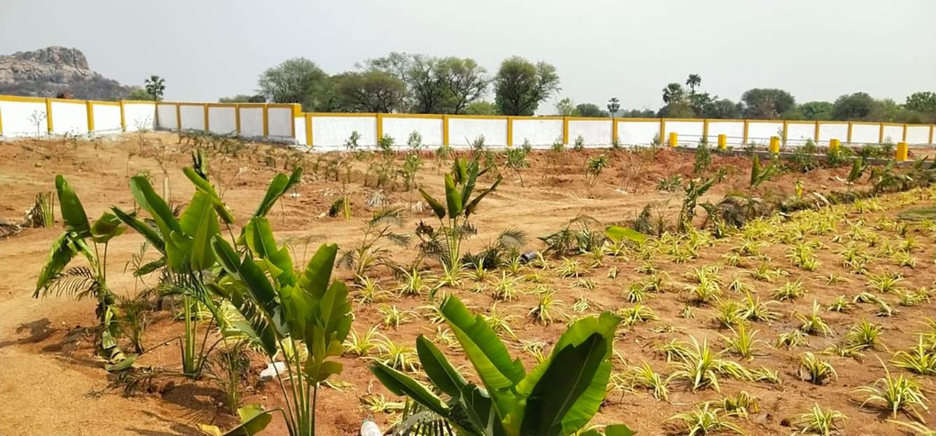  shakthi county phase 1 Landscape Garden and Tree Planting