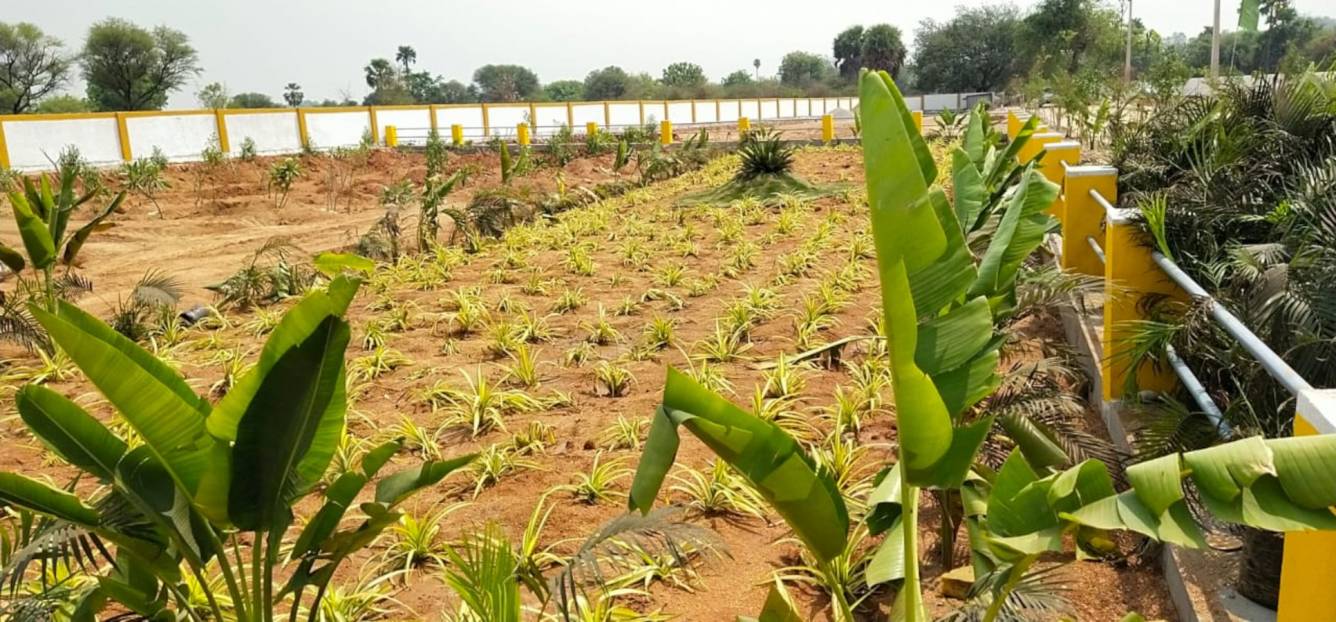  shakthi county phase 1 Plot