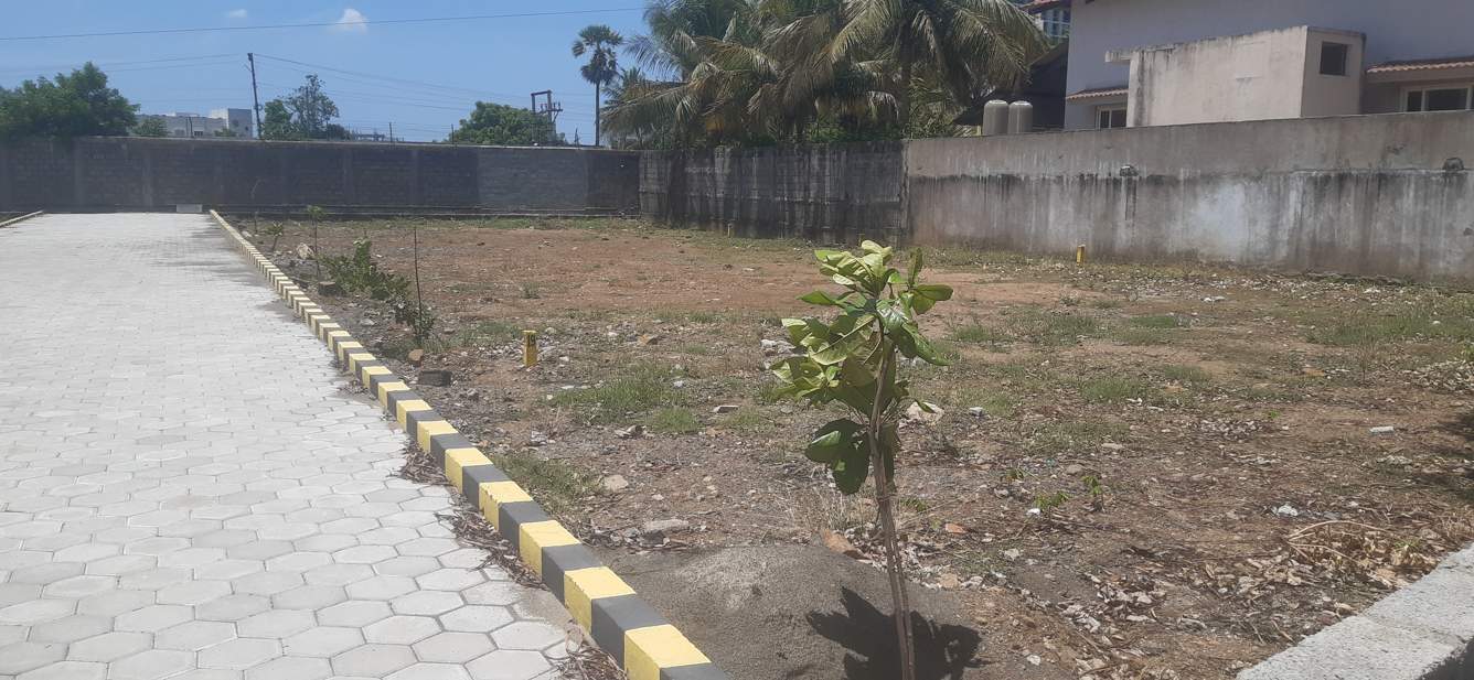  rangarajan avenue Elevation
