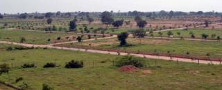 Project Image Project Image