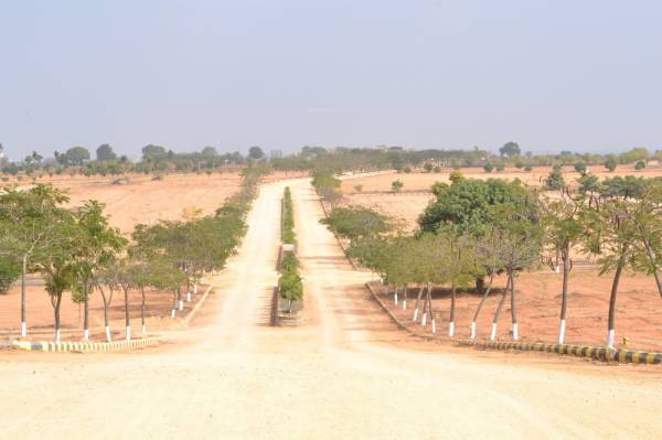  everest-33-lp Internal Roads