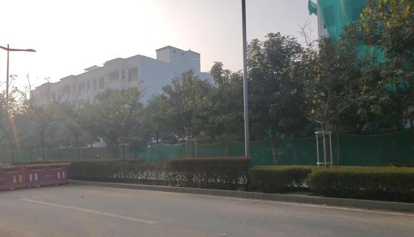 the grove The Grove Construction Status Jan 25