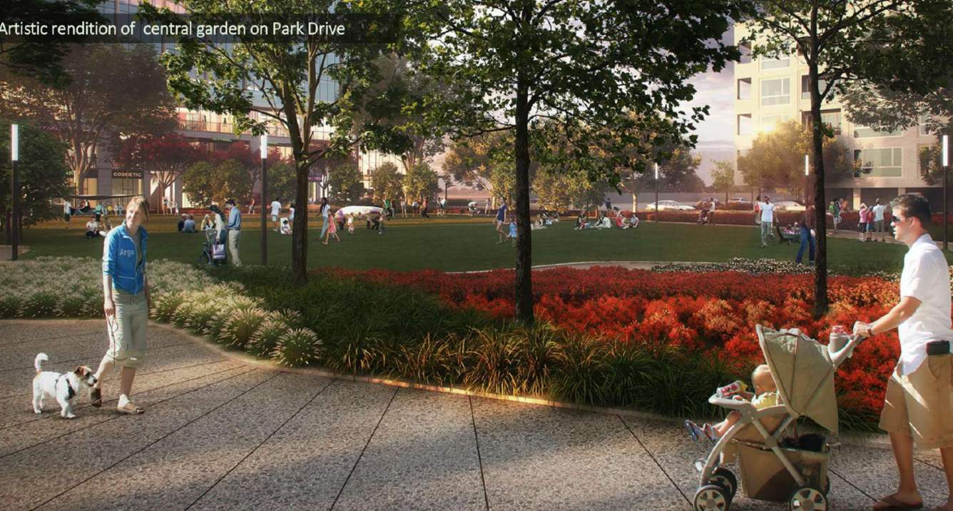 the grove Landscape Garden and Tree Planting