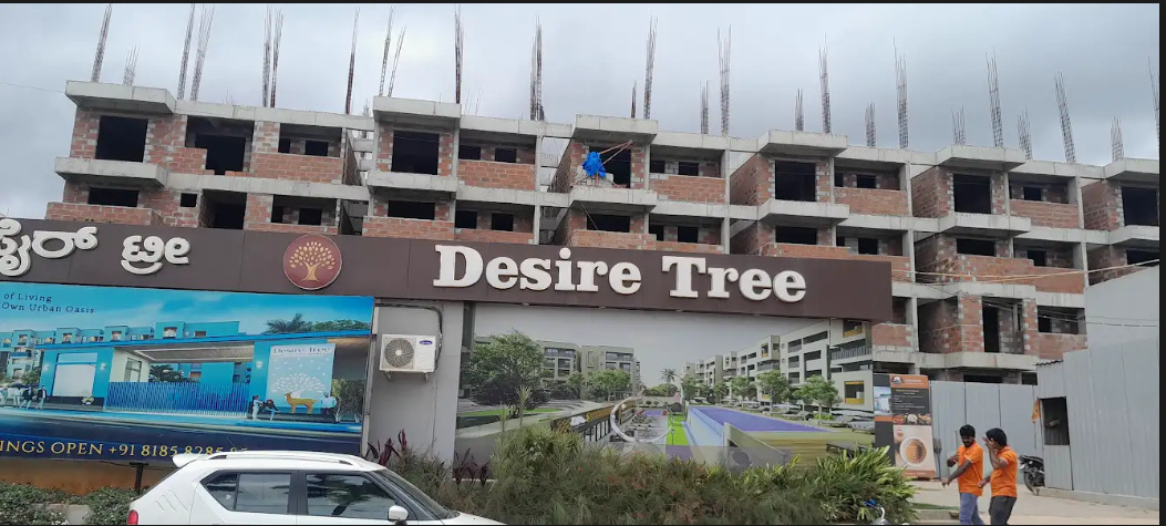  desire tree Construction Status July 24