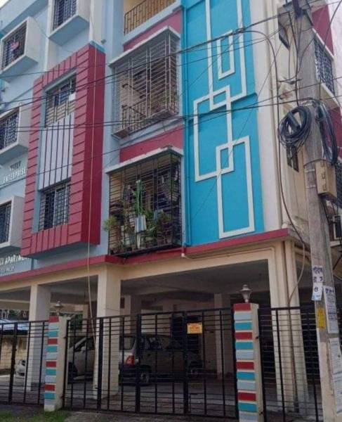  new-project Elevation