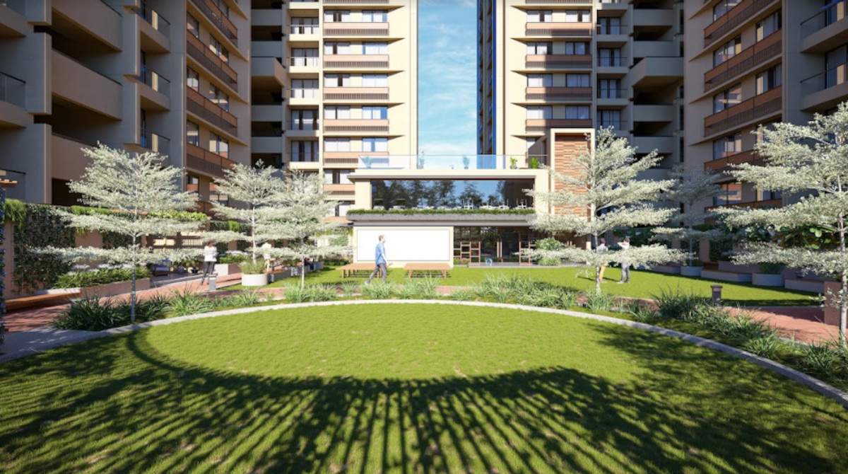  signor skyline Landscape Garden and Tree Planting