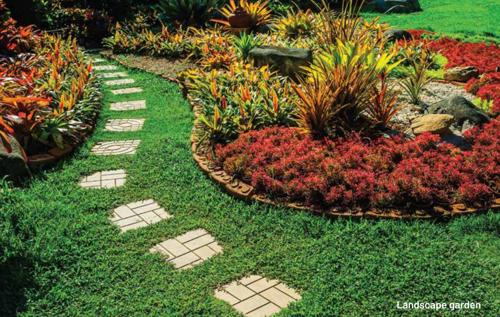  bodh-79 Landscape Garden and Tree Planting