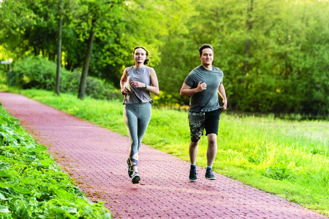 vivant south wing b Others