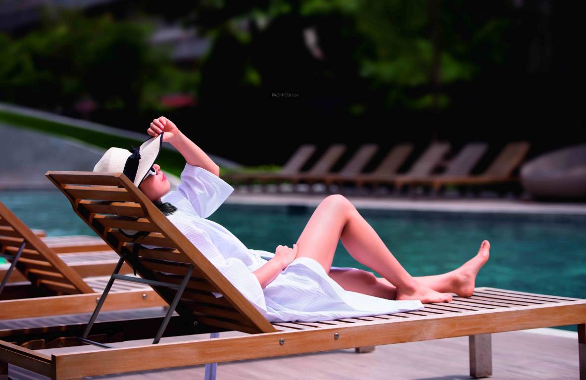 vivant south wing b Others