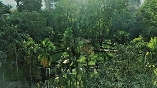  florence Landscape Garden and Tree Planting