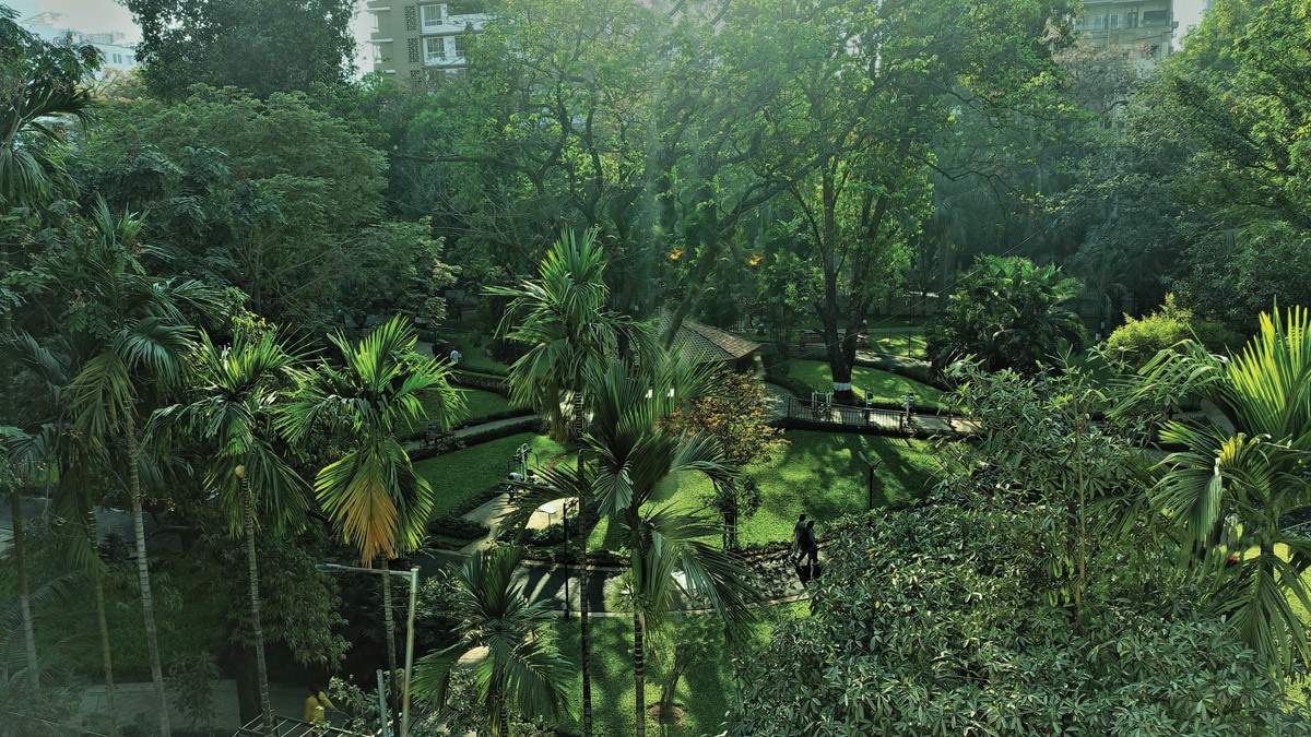  florence Landscape Garden and Tree Planting