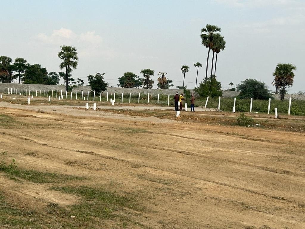  golden breeze 5 Construction Status July 24