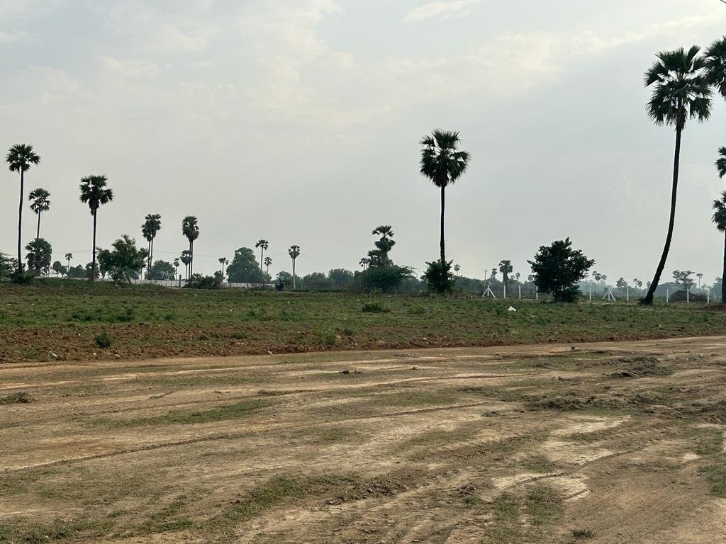  golden breeze 5 Construction Status July 24