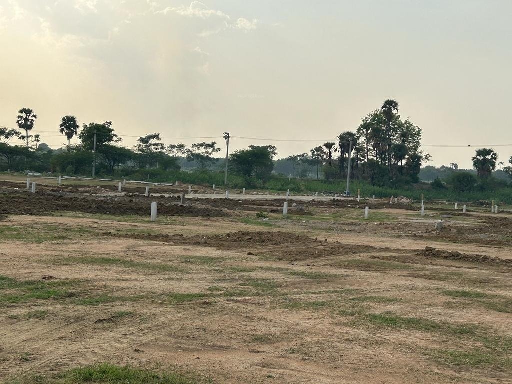  golden breeze 5 Construction Status July 24