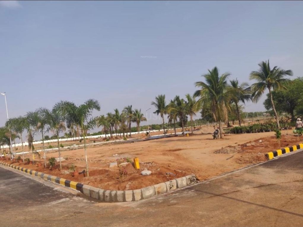  golden breeze 5 Elevation