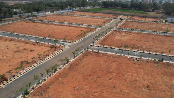 Elevation golden-breeze-5 Elevation