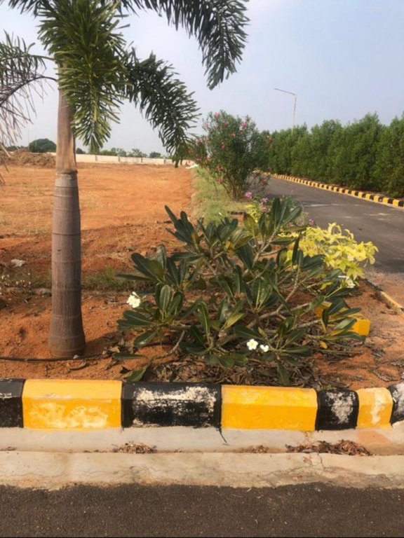  golden breeze 5 Plot