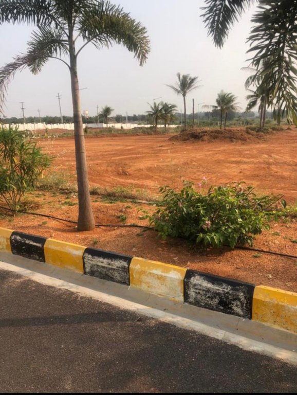  golden breeze 5 Plot