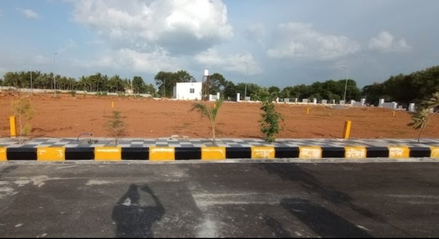  golden breeze 5 Plot