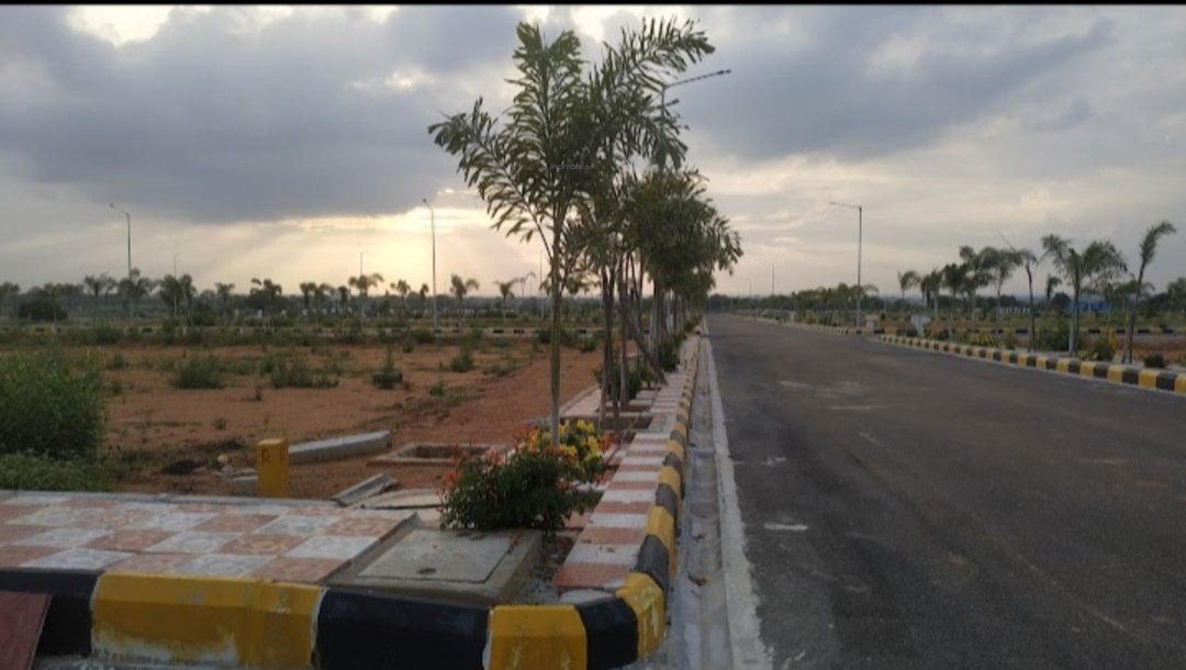  golden breeze 5 Plot