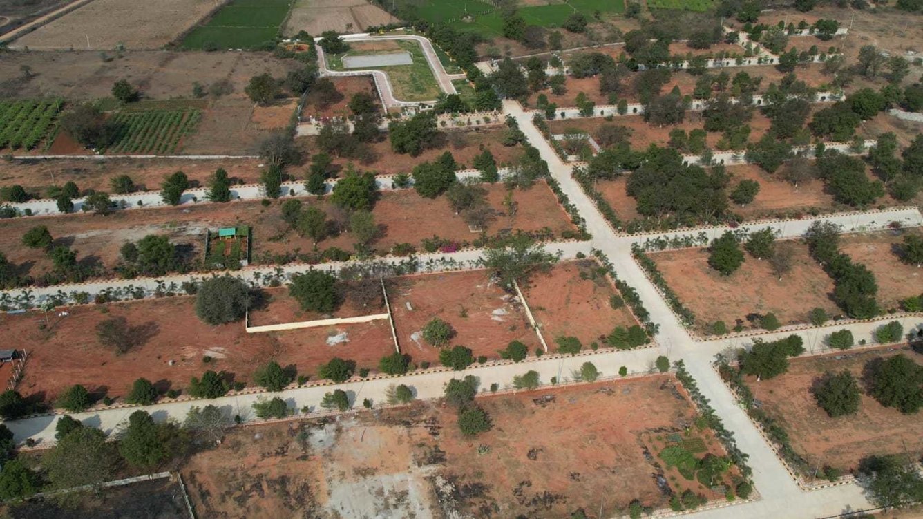  golden breeze 5 Plot