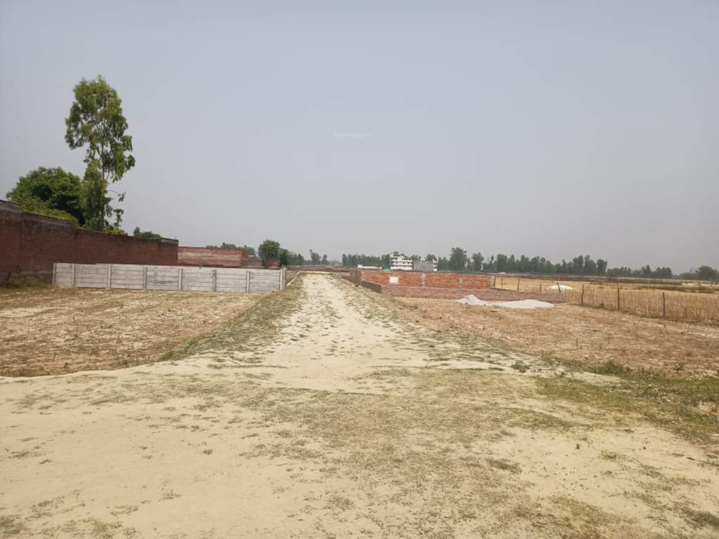  aalishaan paradise Plot
