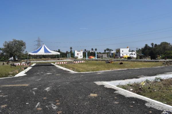  royal-city Internal Roads