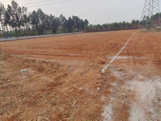 golden-enclave Elevation Elevation