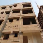  new-project Elevation