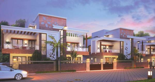  himalaya-sunshine Elevation