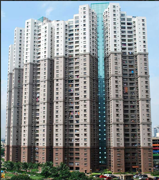  south city  Elevation