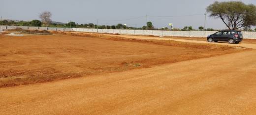 rampally-country Elevation Elevation