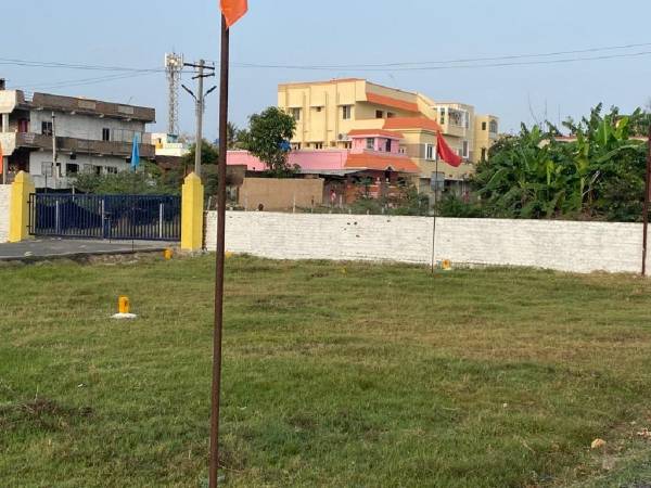 Elevation ms-avenue Elevation