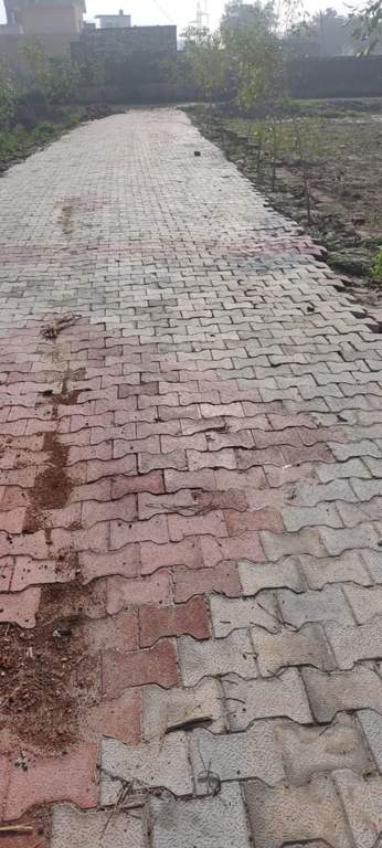 khatu shyam garden Internal Roads & Footpaths