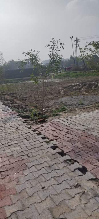 khatu shyam garden Internal Roads & Footpaths
