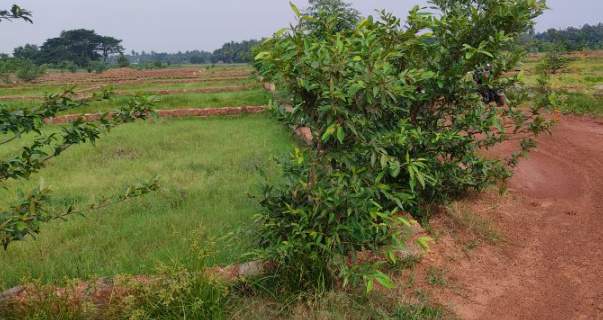  krishna bhoomi phase 2 Plot