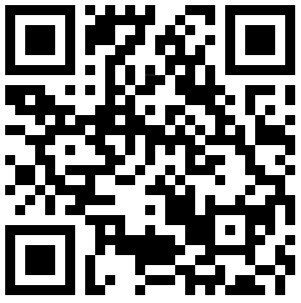 QR Image