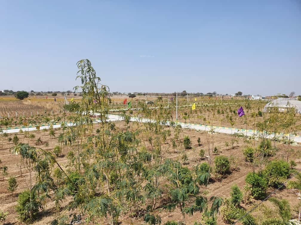  bharani avenues Plot