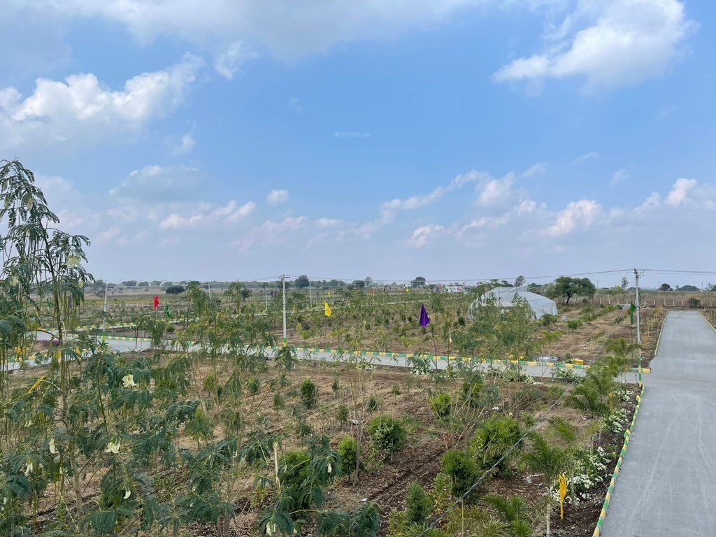  bharani avenues Plot