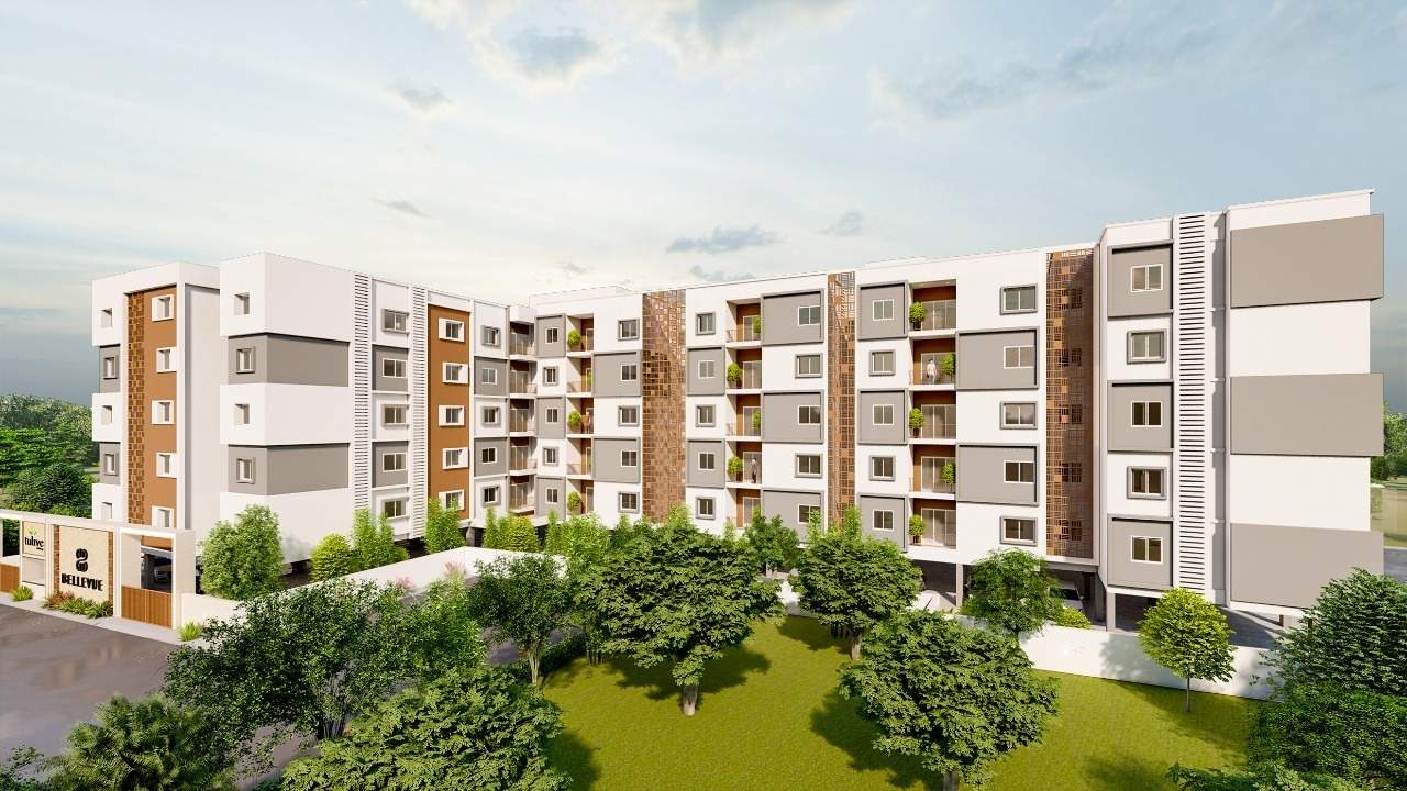  tulive bellevue Elevation