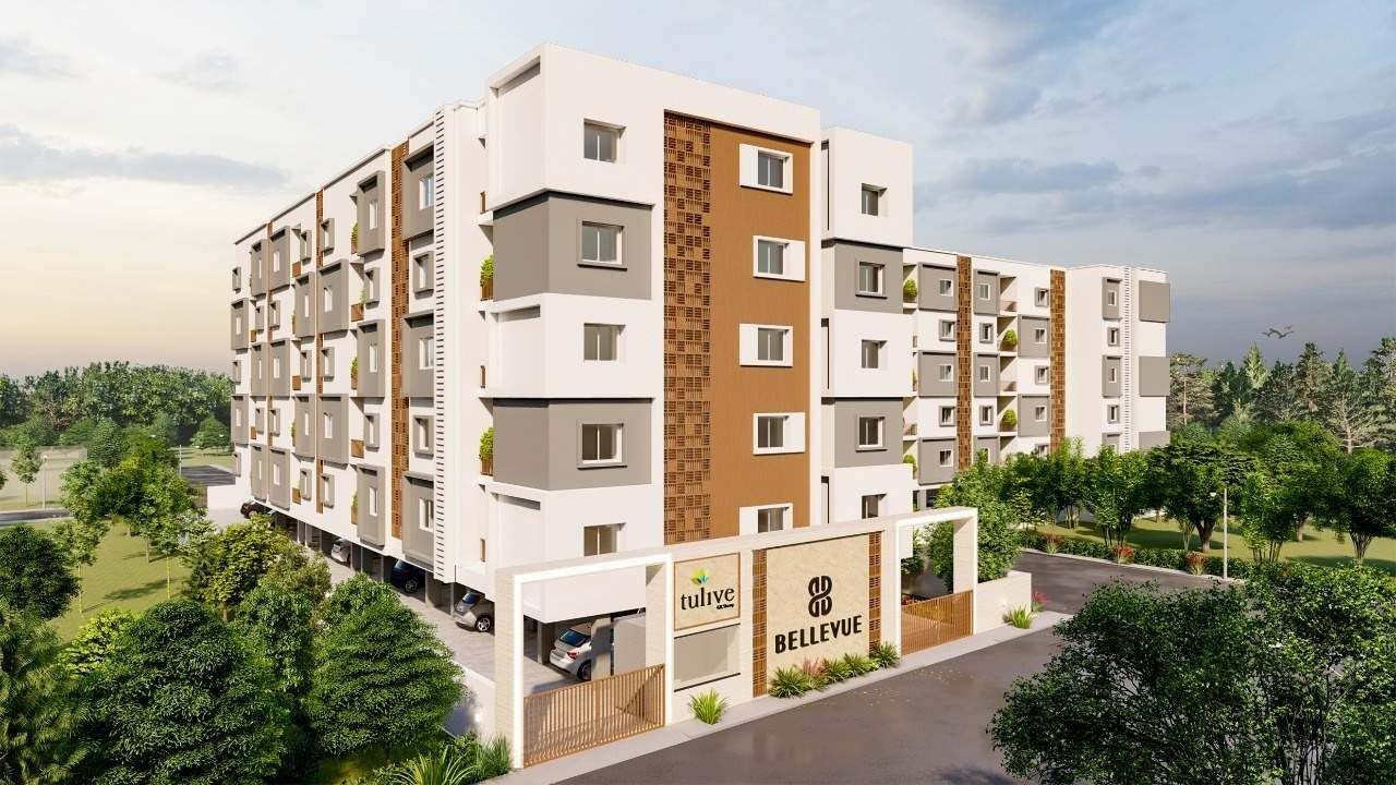  tulive bellevue Elevation