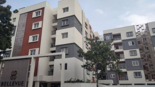 tulive-bellevue Elevation Elevation