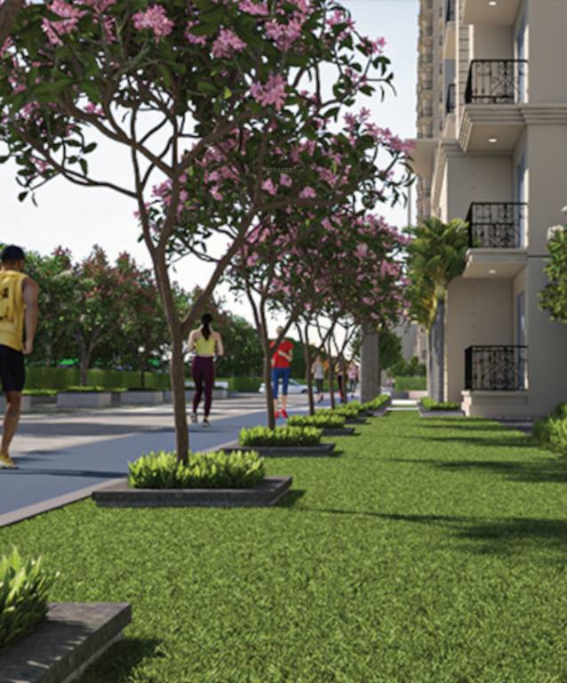  the millennia iv Jogging Track