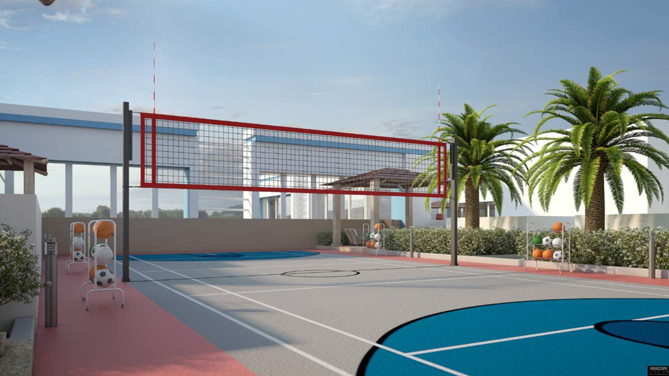  insignia Basketball Court