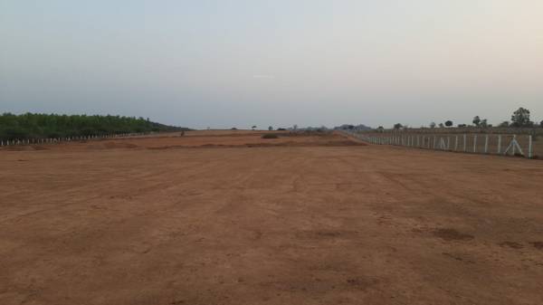  paradise-city Elevation